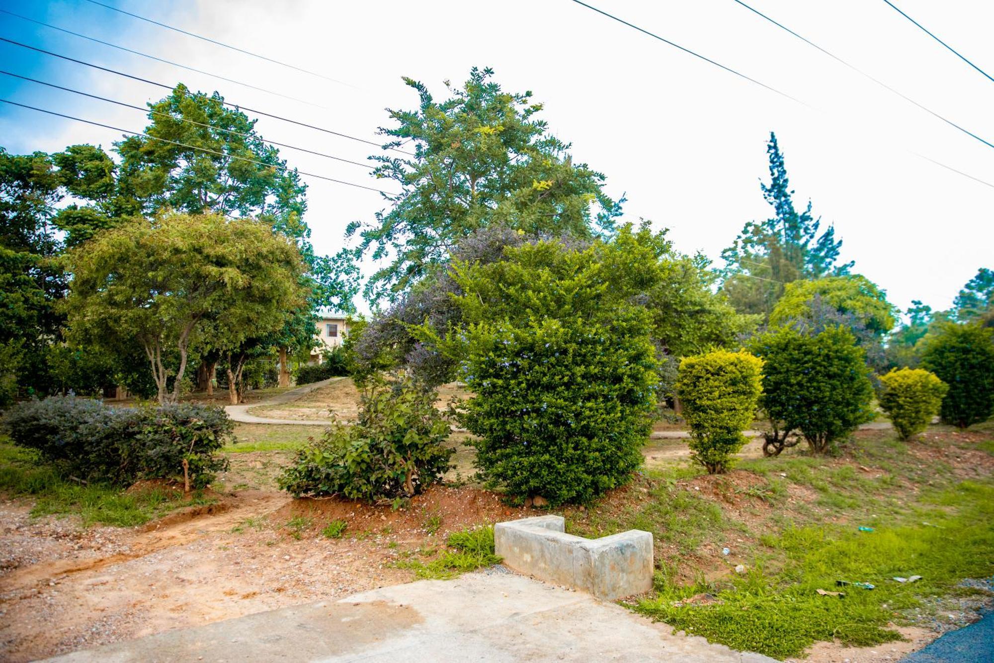 Sanctuary Aparthotel-Ac-Garden- Solar-Wi-Fi -Firepit-Park-Carport Lusaka Exterior photo